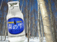 白樺樹液森のしずく